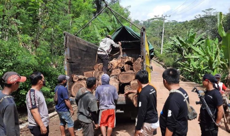 Sonokeling diamankan Polres Tanggamus