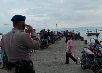 Buaya di Kota Agung