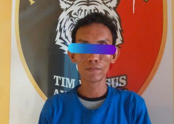 Polsek Pugung Tangkap Pencuri Baterai LPJU