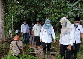 Cukuh Balak Pasca Banjir