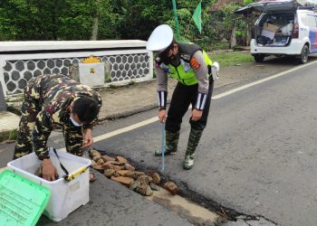 Polantas Timbun Jalinbar Berlubang, tanggamus.lappung.com