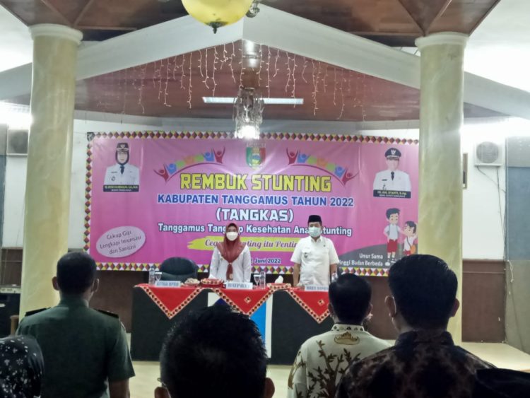 Pelantikan Tim Percepatan Penurunan Stunting Di Tanggamus