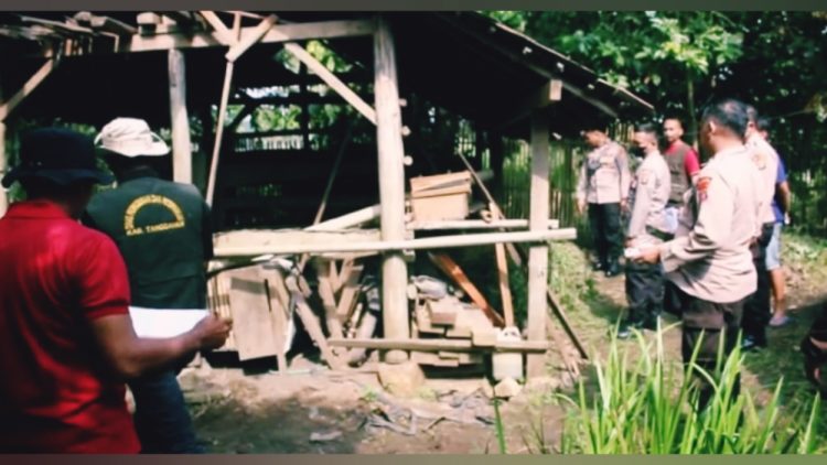 Vaksin Hewan Ternak di Pugung