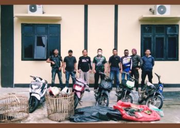 Sabung Ayam di Negeri Ngarip