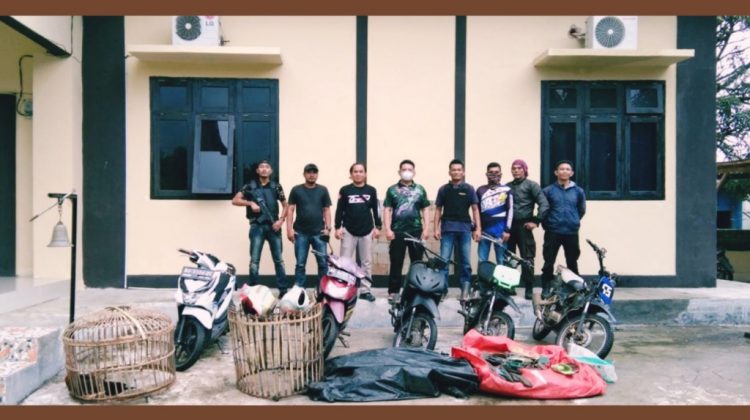 Sabung Ayam di Negeri Ngarip