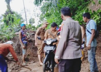 Longsor di Pekon Talang Beringin