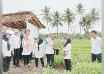 KWT Bunda Tani Pekon Kejayaan