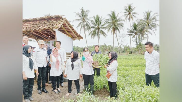 KWT Bunda Tani Pekon Kejayaan