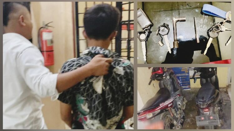 Curanmor di Pekon Talamg Rejo