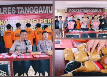 Jaringan Pengedar Ganja di Talang Padang